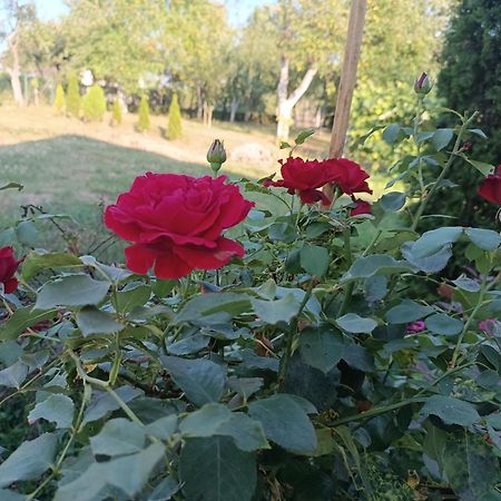 Guest House Bee Visoko Exterior photo