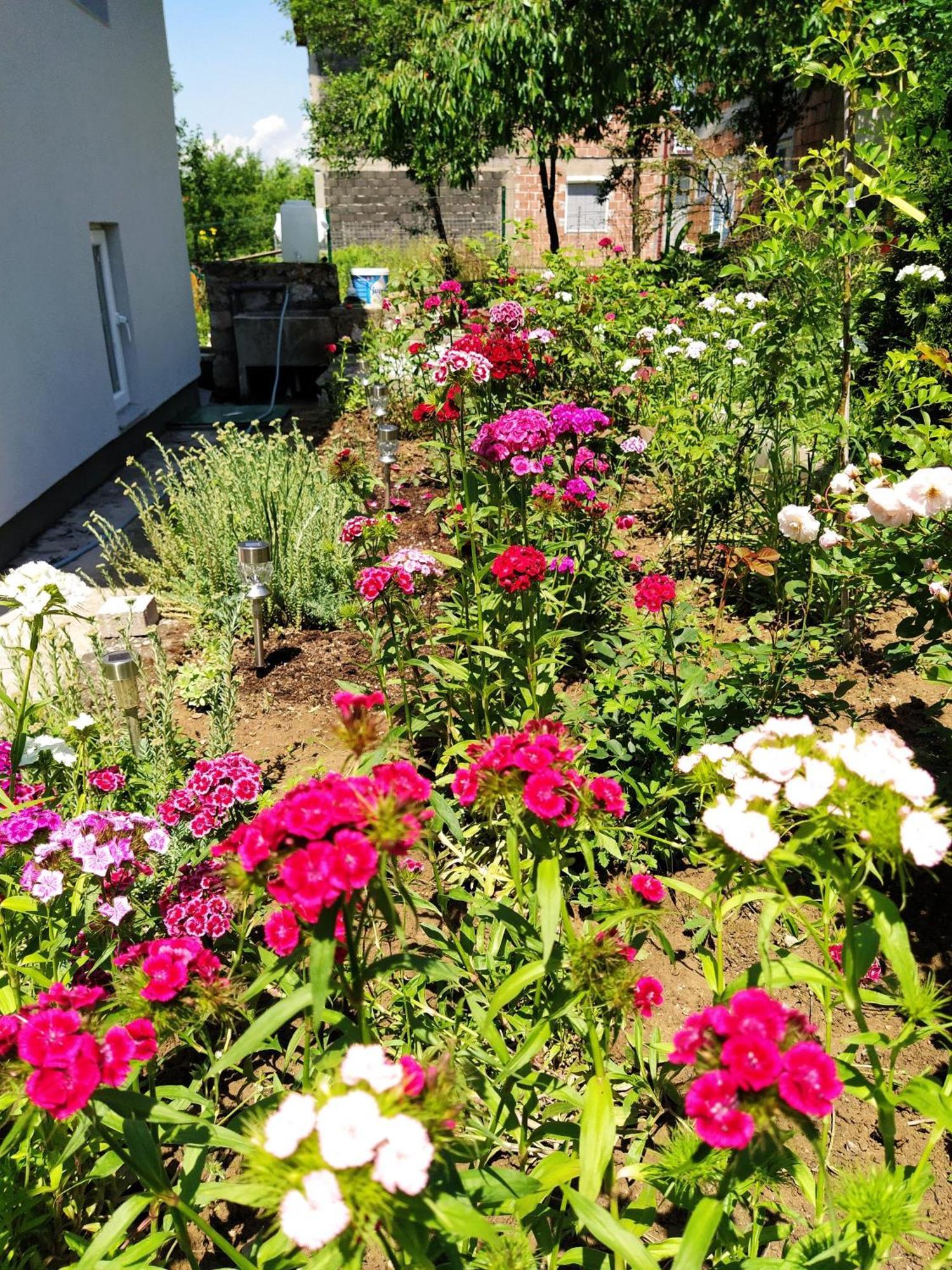 Guest House Bee Visoko Exterior photo